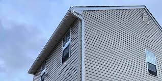 Best Siding Painting and Refinishing  in Mead, CO